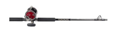 Penn 6'6" Special Senator 113H2/SL2050C66T Conventional Saltwater Combo, Medium Heavy Power 20-50lb.