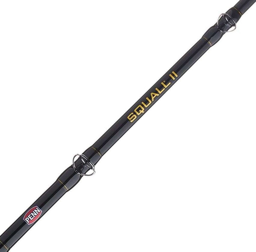 Penn SQLII60LD3080C60RS Squall II Lever Drag Combo 6' 30-80LB