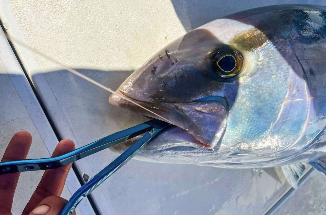 Toit Fishing Long Nose Pliers - 9".