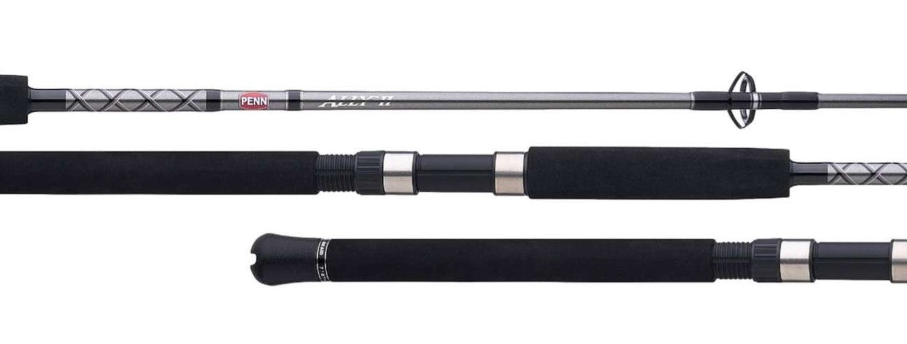 Penn ALLYBWII50100S60 Ally II Boat Spinning Rod 6' 50-130lb.
