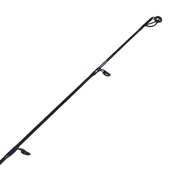 Witch Doctor WDTC76JDGH Custom Purple Judge Spinning Rod 7'6" 12-25lb