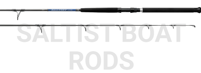 Daiwa Saltist SLTST701HS Saltwater Spinning Rod 7’ 55-100lb