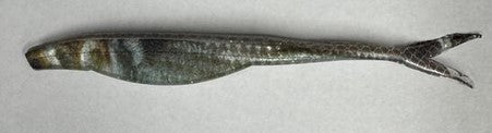 Gambler Super Stud Fluke Tail 5" 5 Per Pack