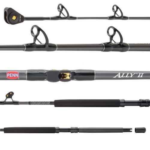 Penn ALLYBWII3050C60RS Ally II Offshore Boat Conventional Rod 30-50lb. 6' Roller/Stripper