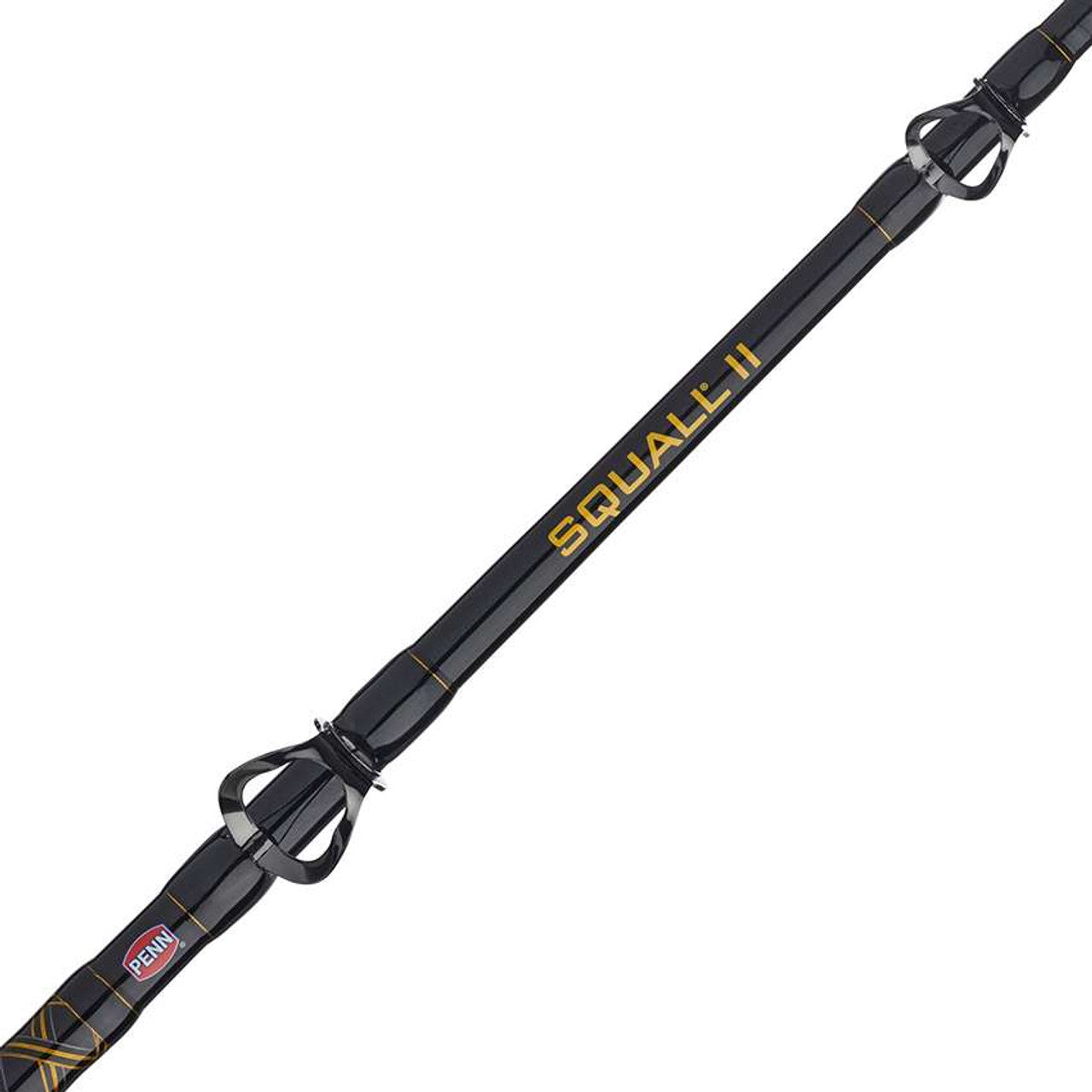 Penn Squall II 20 Level Wind SQLII20LW1530C70 Conventional Combo 7' 15-30lb.