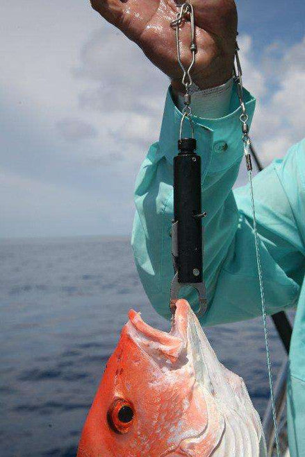 The SeaQualizer Shallow Water 30-50-70ft Reef Fish Release Tool