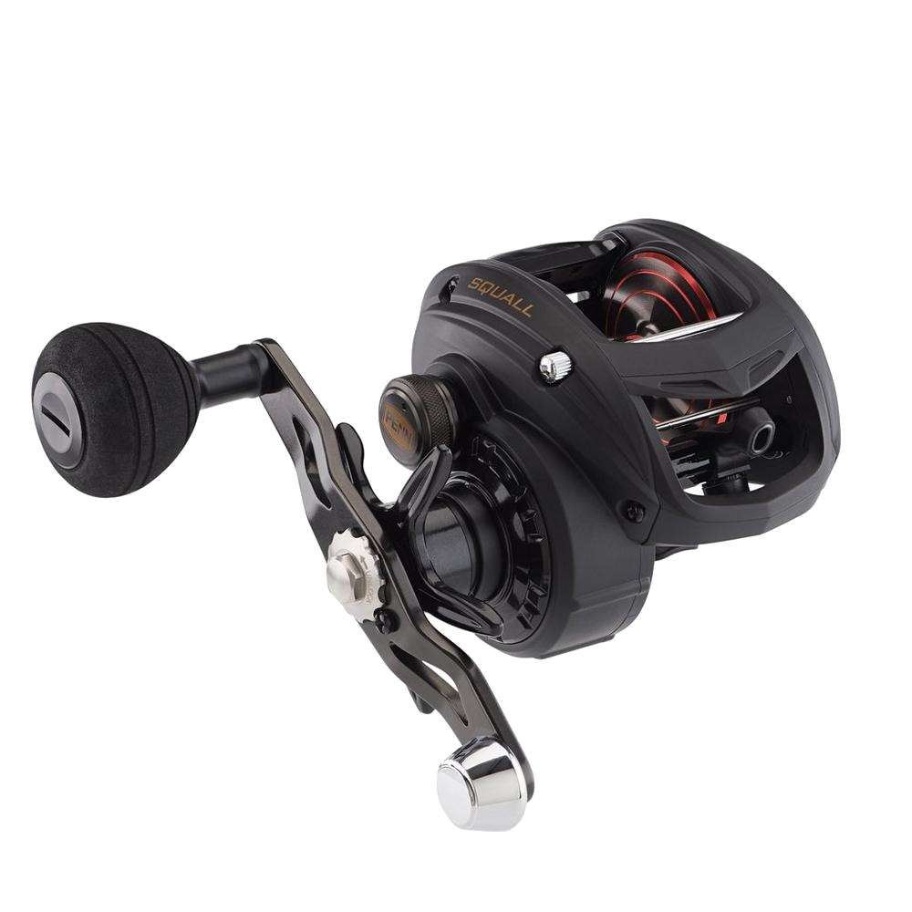 Penn Squall Low Profile Baitcast Reel