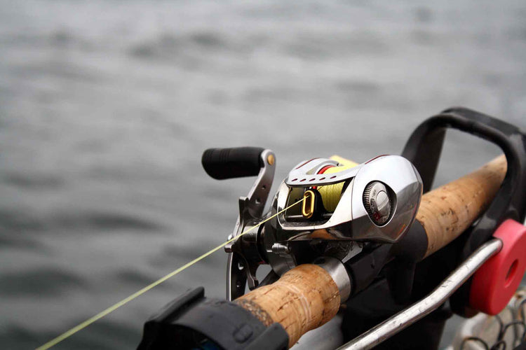 best baitcasting reels KastKing Royale Legend Pro Lightweight design with magnetic brakes to prevent backlash Top 5 Baitcasting Reels for