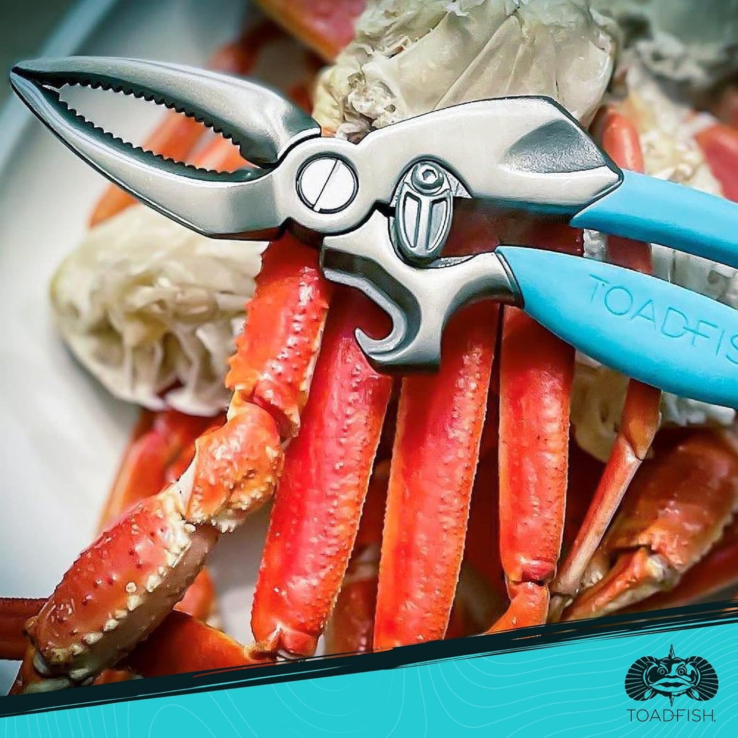 ToadFish Coastal Kitchen Collection.