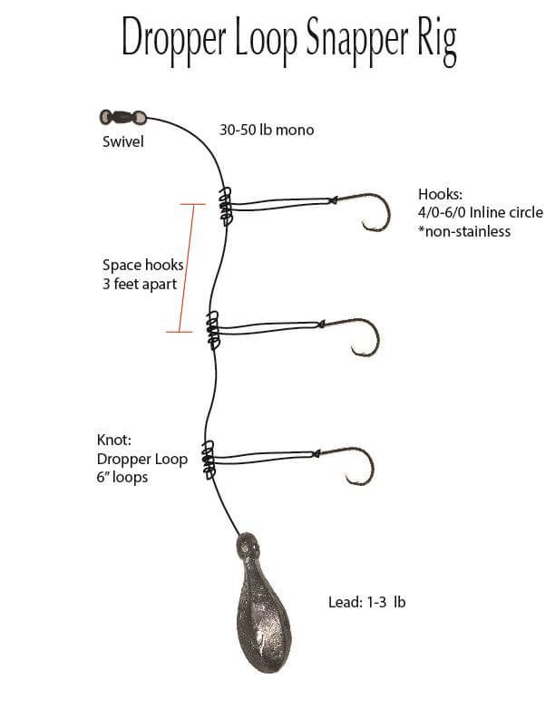 Tournament Fish-N-Pac Chicken Rigs Mono