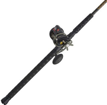 Penn Squall II 20 9' 2-Piece w/ Counter Fishing Rod / Reel Combo. (SQLII20LWLC1530C902)