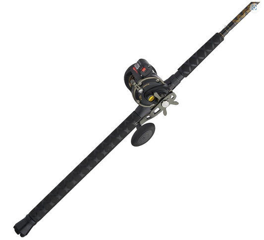 Penn Squall II 20 9' 2-Piece w/ Counter Fishing Rod / Reel Combo. (SQLII20LWLC1530C902)