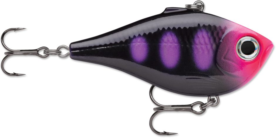 Rapala Rippin' Rap 06 Fishing Lure, 2.5-Inch 1/2 oz.