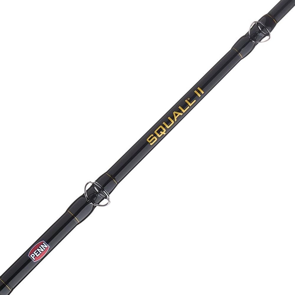 Penn Squall II 40 Lever Drag Combo 7' 15-30LB SQLII40NLDHS1530C70LBCH