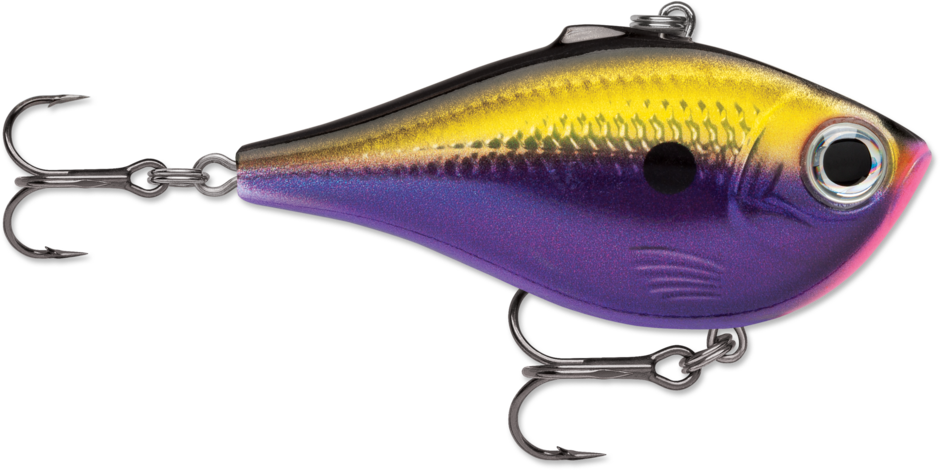 Rapala Rippin' Rap 06 Fishing Lure, 2.5-Inch 1/2 oz.
