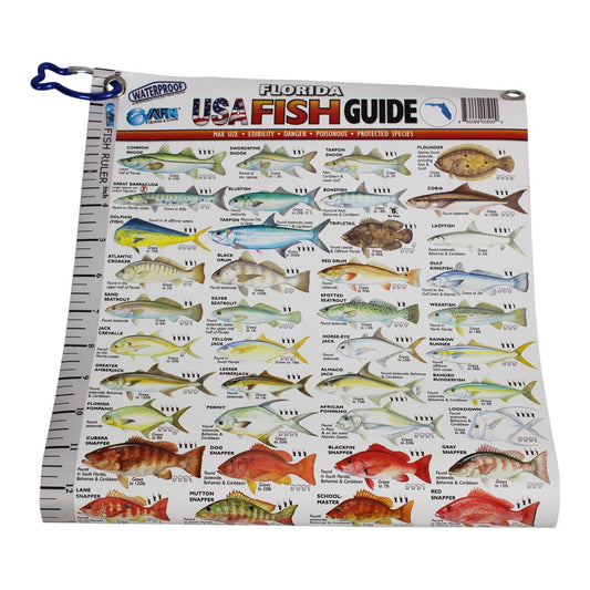 Fish Guide Ruler for Florida AFN AC5000 Fish Guide Ruler Florida USA