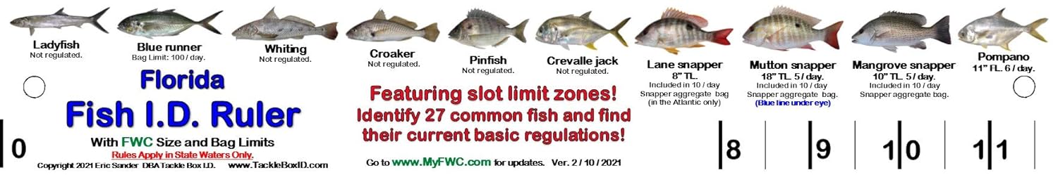 Folding Fishing Ruler Showing 27 Common Florida Fish in True-to-Life C ...