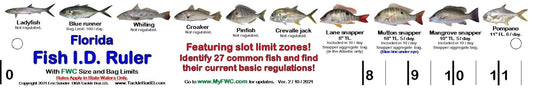 Folding Fishing Ruler Showing 27 Common Florida Fish in True-to-Life Color Photographs and Their Current FWC Rules with Highlighted Slot Bracket