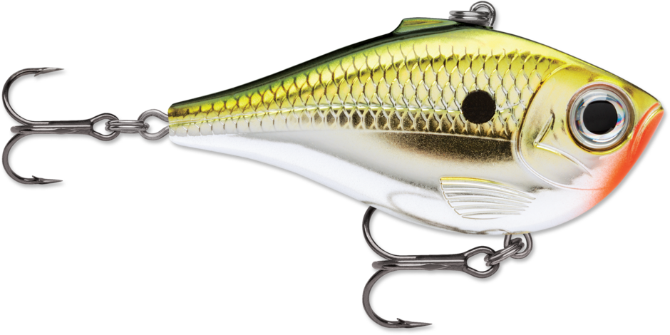 Rapala Rippin' Rap 06 Fishing Lure, 2.5-Inch 1/2 oz.