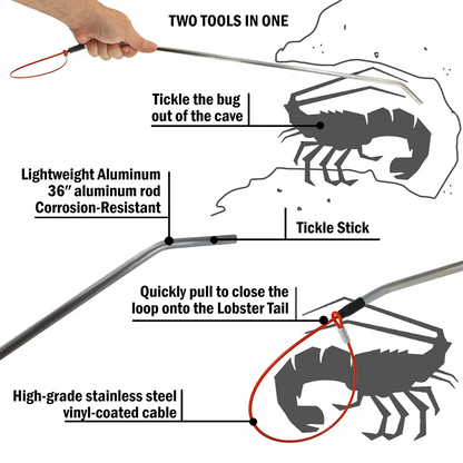 Marine Sports Aluminum Lobster Tickle Stick With Snare 5546LP