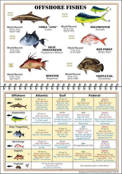 saltwater fish finders Florida Saltwater Fish ID Book