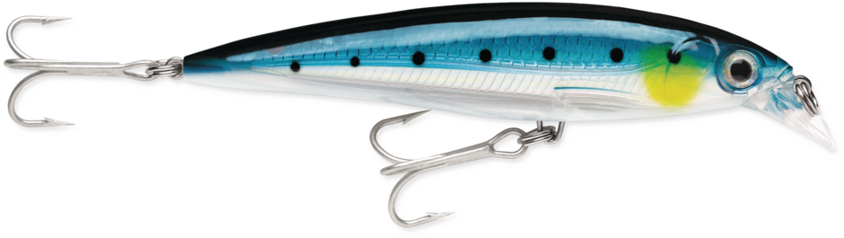 Rapala Suspending X-Rap® Saltwater Lures SXR14 5 1/2"