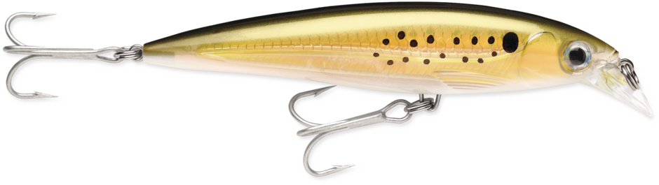 Rapala Suspending X-Rap® Saltwater Lures SXR08 3 1/8"