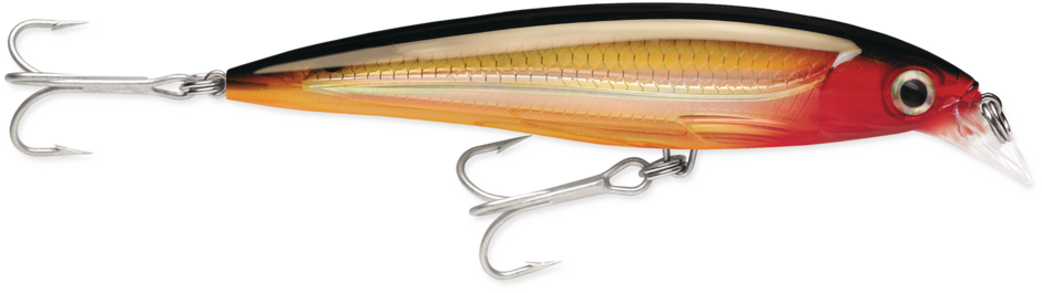 Rapala Suspending X-Rap® Saltwater Lures SXR10 4"