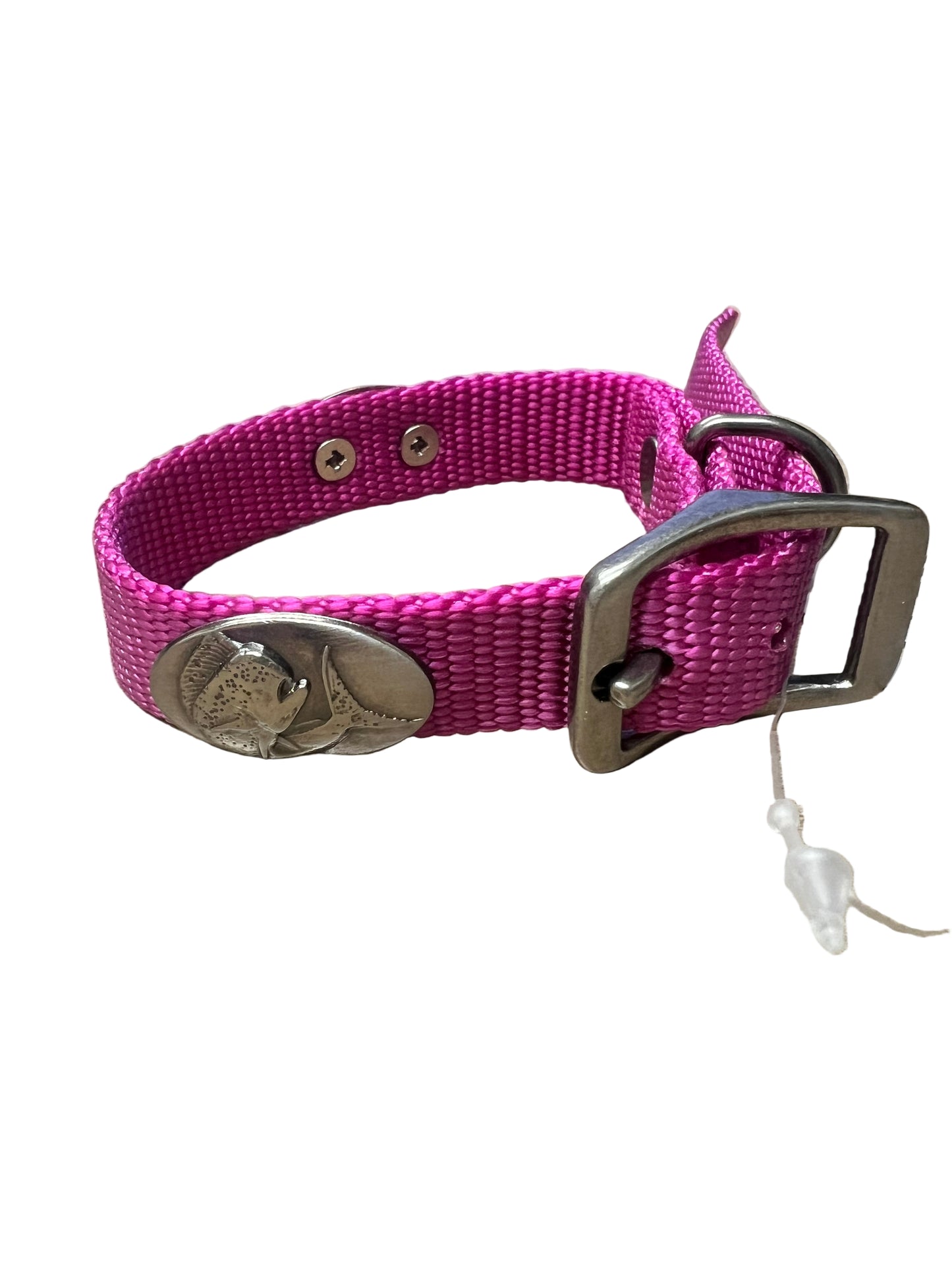 Zep-Pro Dolphin Mahi Concho Nylon Dog Collar