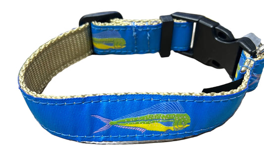 Zep-Pro Aqua Blue Mahi Dorado Dolphin Dog Collar