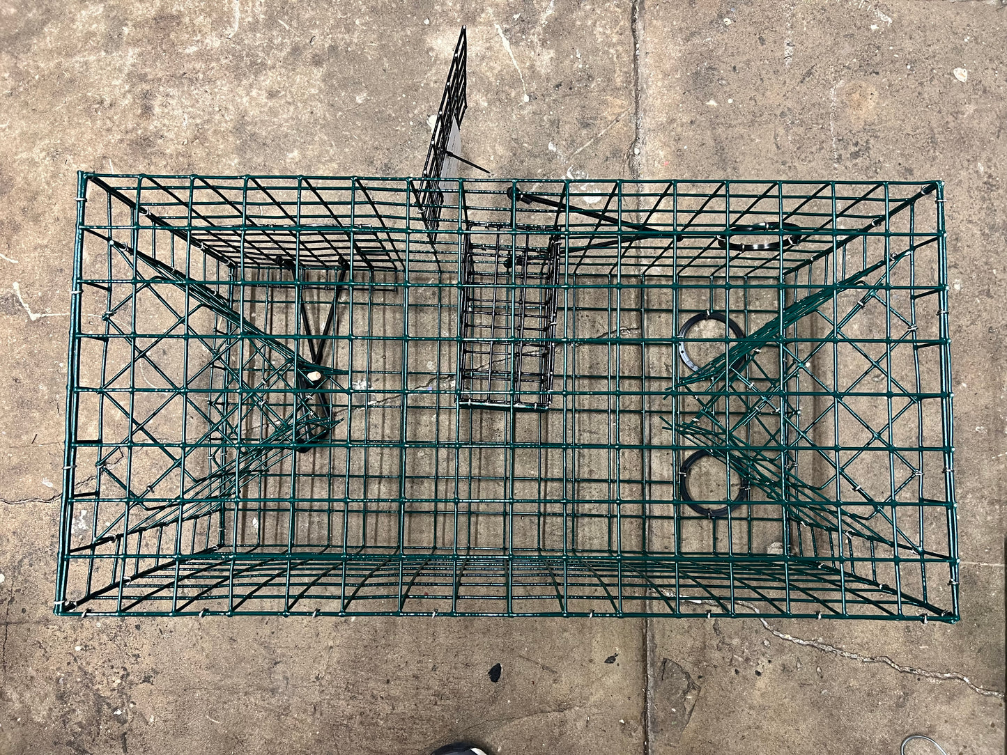 Rob's Reel Baits Quarter 1/4 Crab Trap 24" x 12" x 12"