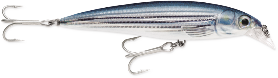 Rapala Suspending X-Rap® Saltwater Lures SXR10 4"