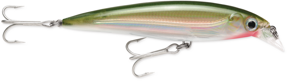 Rapala Suspending X-Rap® Saltwater Lures SXR12 4 3/4"