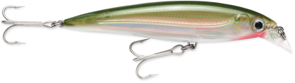 Rapala Suspending X-Rap® Saltwater Lures SXR08 3 1/8"