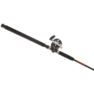 Penn 309 Combo 309M/MB2050C66 Conventional 6'6" 20-50lb