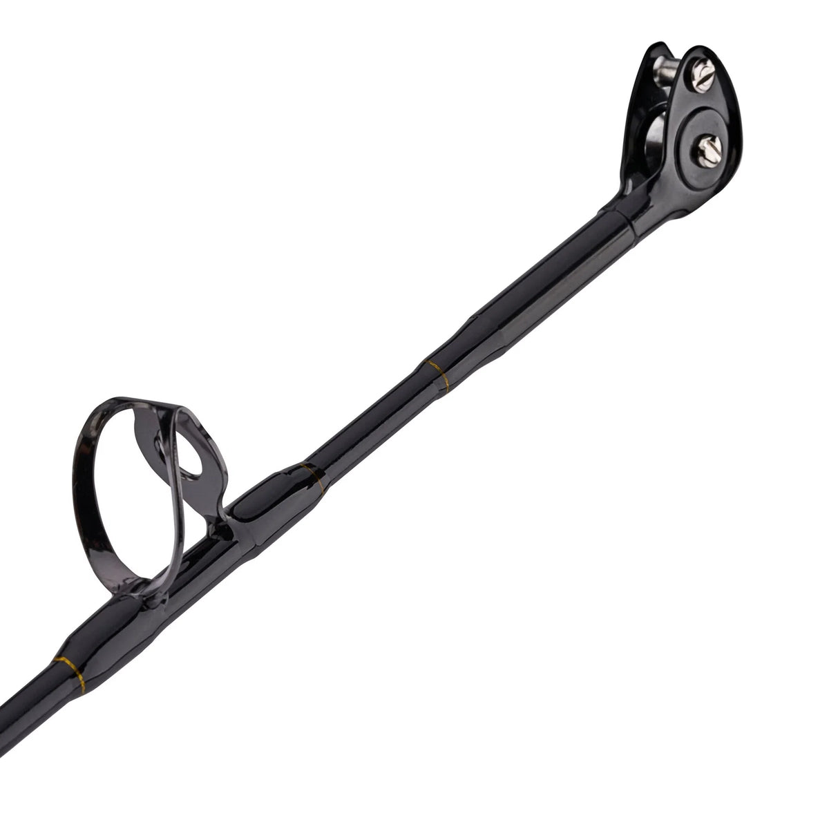 Penn Squall II 60 Lever Drag Combo 6' 30-80LB SQLII60LD3080C60RS