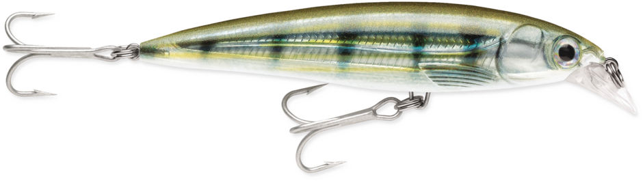 Rapala Suspending X-Rap® Saltwater Lures SXR08 3 1/8"