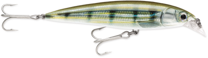 Rapala Suspending X-Rap® Saltwater Lures SXR08 3 1/8"