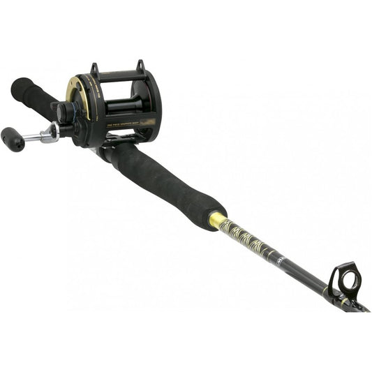 Shimano PTLD20SBWC66MH TLD 20 Conventional Reel Combo, 6' 6" MH