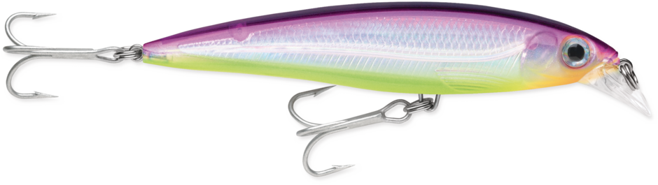 Rapala Suspending X-Rap® Saltwater Lures SXR10 4"