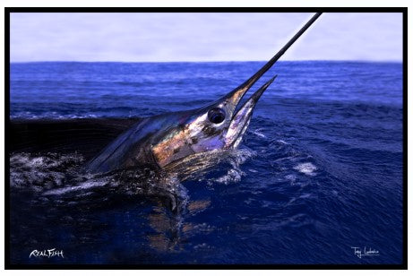 Realfish USA H20 Sailfish " Peeking Out " Floor Mat 24" x 36".