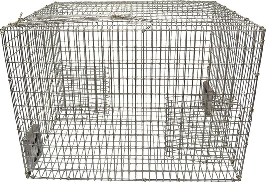 Robs 6 Funnel Pinfish Trap, Galvanized Wire 12" x 18" x 24