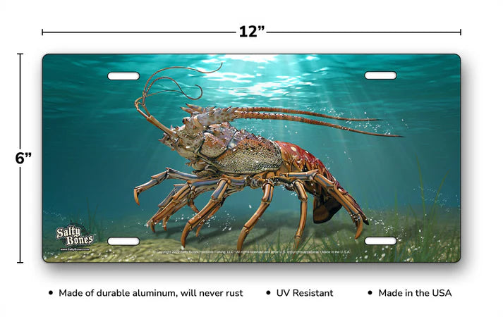 Salty Bones Air Brushed License Plate.