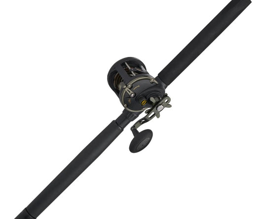 Penn® Squall® II 20 Level Wind Fishing Combo 6' 20-30lb SQLII20LW2030C60