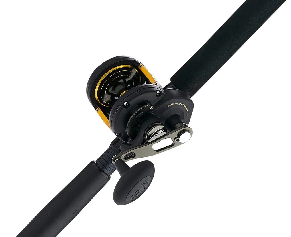 Penn Squall® II 60 Lever Drag Conventional Rod & Reel Combo 6' 300-80lb SQLII60LD3080C60RS