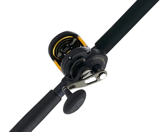 Penn Squall® II 60 Lever Drag Conventional Rod & Reel Combo 6' 300-80lb SQLII60LD3080C60RS