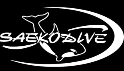 Saekodive Adult Mask & Snorkel Silicone Set Black Clear