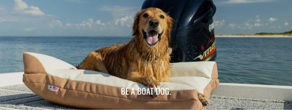 Boat Dog - Collars That are Built for the Outdoors