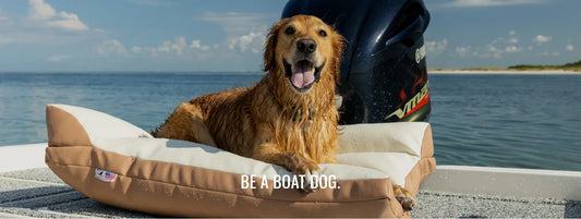 Boat Dog - Collars That are Built for the Outdoors