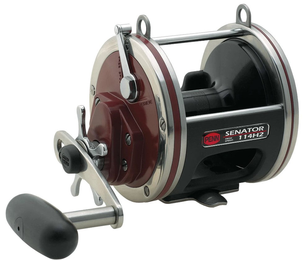 PENN Special Senator Star Drag Conventional Reel